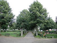 friedhof-mini.jpg