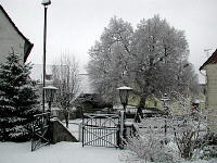 lutherlinde-winter-mini.jpg