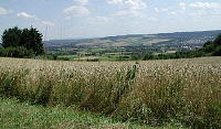 platteweg-all-blick-mini.jpg