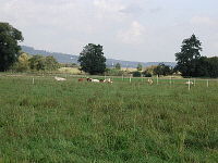 sauerwiese1-mini.jpg