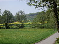 totenberg-blick1-mini.jpg