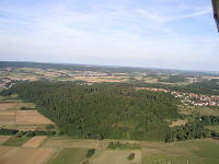 homberg-mini.jpg