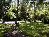 burggarten1-mini.jpg