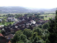 allendorf-mini.jpg
