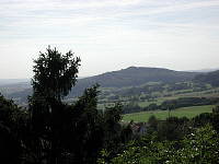 totenberg-mini.jpg